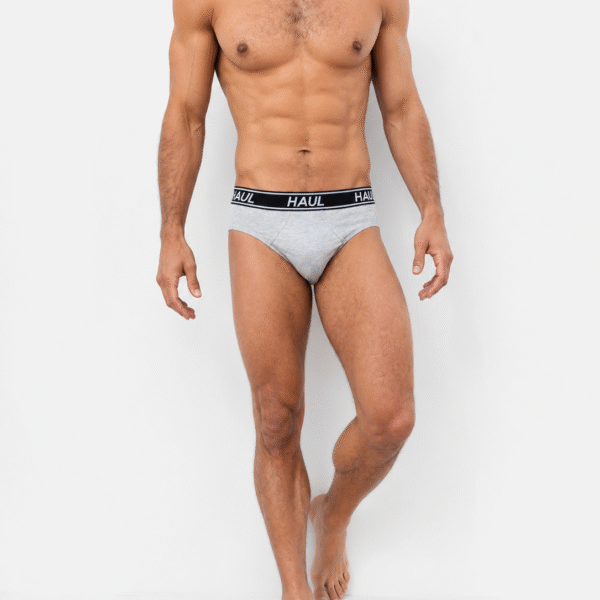 Mens Briefs Grey